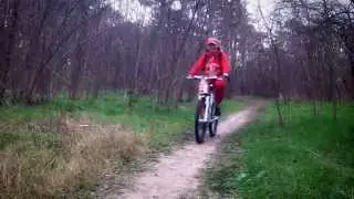 Прогулка в лесу