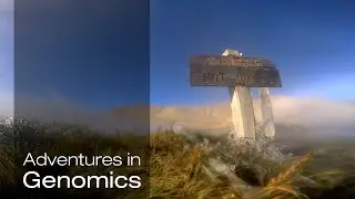 In hot water with extremophiles| Adventures in Genomics