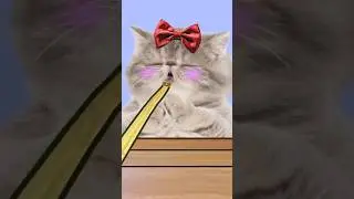 #마라탕후루챌린지7/#마라탕후루 /웃긴 고양이 애니메이션/ #MaraTanghuluChallenge / funny pets /funny cat animation/힐링샵