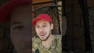 Почему так что изменилось? #shorts #shortvideo #россия #топчик #рекомендации
