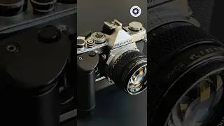 The sound of Olympus OM-1 MD  with Winder 2  #vintagecameras #winder #olympuscamera  #om1