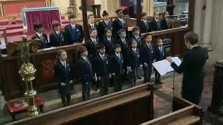 IMG 0493