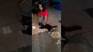 Nafisah sayang  kucing ,kucing jadi nurut