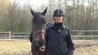 Иноходь у лошадей... Конь Тихон и тренер конного клуба 