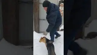 22 января 2023 г.