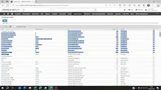 How to import matrix options on netsuite