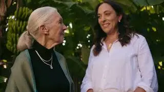 Introducing The Jane Goodall Collection.