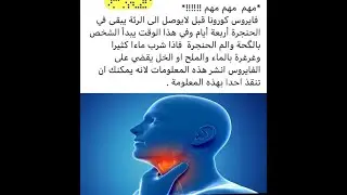 عاااجل مرض كرونا في المكسيك طريقة التعقيم في المكسيك خوف من المرض طريق التناول الشراء