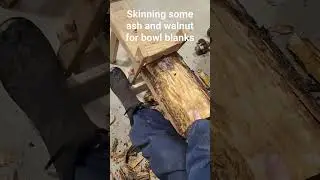 Making bowl blanks for the lathe.  Ash and black walnut.  #bigwoodsman #woodworking #lathe