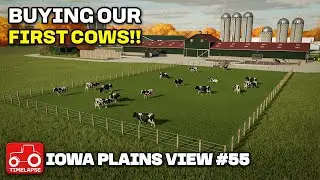 BUILDING THE COW SHED AND BUYING COWS!! Iowa Plains View FS22 Timelapse Farming Simulator 22 Ep 55