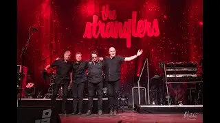 THE STRANGLERS: GOLDEN BROWN, 013 TILBURG, 02/102022