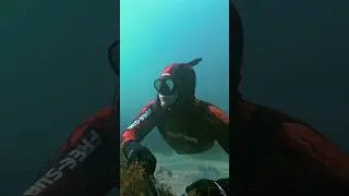 1 августа 2024 г.