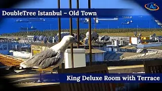 DoubleTree by Hilton Hotel Istanbul – Old Town - GREAT CITY LOCATION