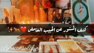 🧿الحبيب الغامض ما نواياه و سبب غموضه 🐆✨‼️
