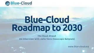 Blue-Cloud Roadmap to 2030 - An interview with Julia Vera, Seascape Belgium