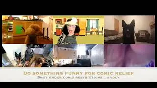 clevercanines comic relief zoom tribute to Morecambe and Wise