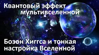 The quantum effect of the multiverse | Higgs Boson and the fine-tuning of the Universe