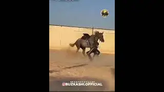 😂😂 instagram/buzkashi.official 

