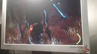 Игра Hitman Absolution