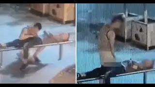 Thief Gives Handsome Unconscious Man Blowjob and Handjob Before Robbing Him