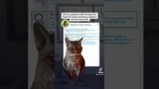 Мемы подъехали 🤣 