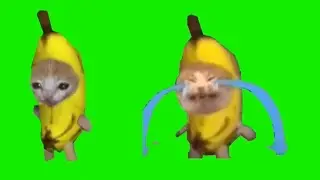 banana cat walking and crying meme (green screen)