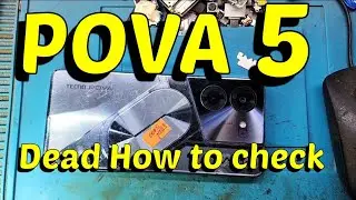 Pova 5 Dead how to check