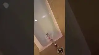 RIP Phone