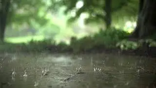 Slow Motion Video of Rain Drops | Free Stock Video Footage HD 4K
