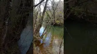Чернореченский каньон. Поток.