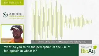 Testing Biological Inputs Can Help Improve Bottom Lines for Wheat Growers