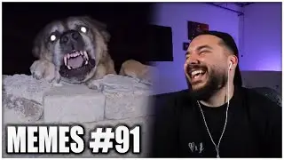 ER WILL NUR SPIELEN 🐕🇹🇷  EHRENLOSE MEMES #91