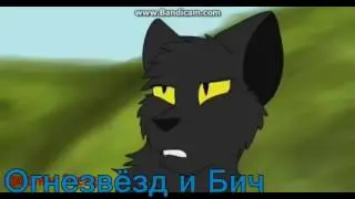 Грач и Сумеречница-Зачем(заказ)