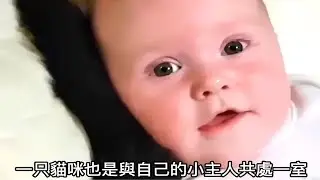 小主人哭闹不停猫咪化身奶妈温柔哄小主人入睡