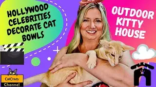 Celebrities Raise Money for FixNation to Help Feral Cats!
