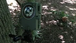 Moutlrie M-990i Game Camera - Bait Tests