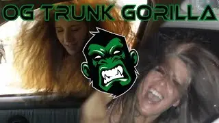 OG Trunk Gorilla