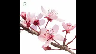 Как посторойнеть эффективно + программа детокс