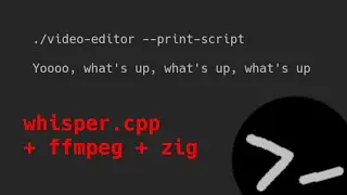 Generating subtitles in my zig video editor