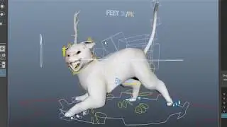 Flexible Cat Rig