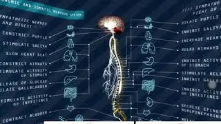 Using Google Expeditions in Anatomy