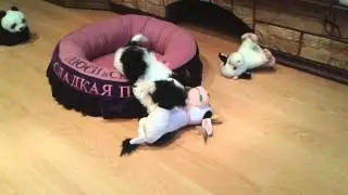 20130918 124108