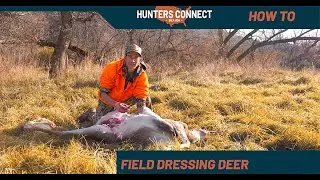 How to Field Dress Deer