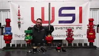 WSI BS Stuffing Box Packing Change