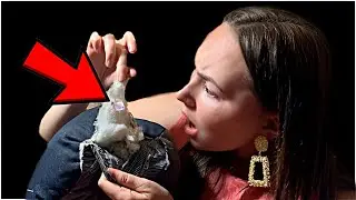 Нашла КЛАД В ИГРУШКЕ ИЗ СЭКОНД ХЭНД