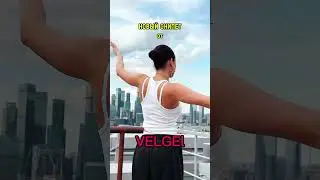 VELGEL - когда птицы запоют... новый отрывок трека