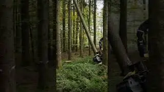 Tree-mendous work in progress! Watch the power of our harvester head H425 unfold. 🌲
