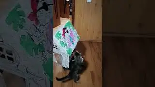 РОМАШКА И КОТ БАЮН