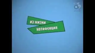 Из жизни Котифенция