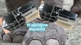 bizim contamızı fil ayağı ile çiğnese  birşey olmaz